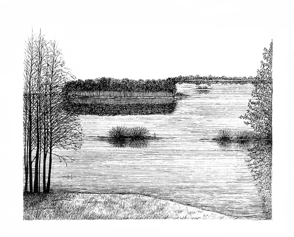 rysunek 5